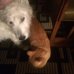 Meet your Posher, Matthew